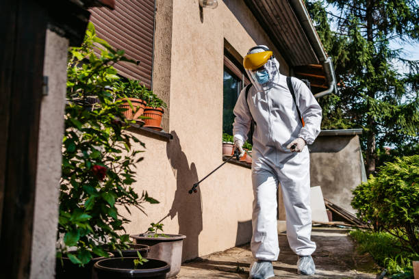 Best Local Pest Control Services  in Starkville, MS