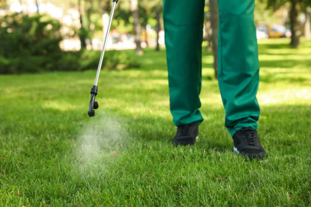 Pest Control Cost in Starkville, MS